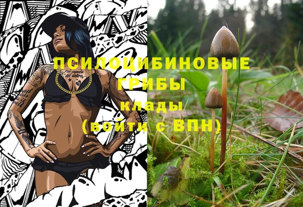 мет Алексеевка