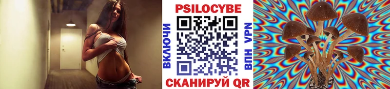 дарк нет формула  mega tor  Обоянь  купить   Галлюциногенные грибы Psilocybine cubensis 